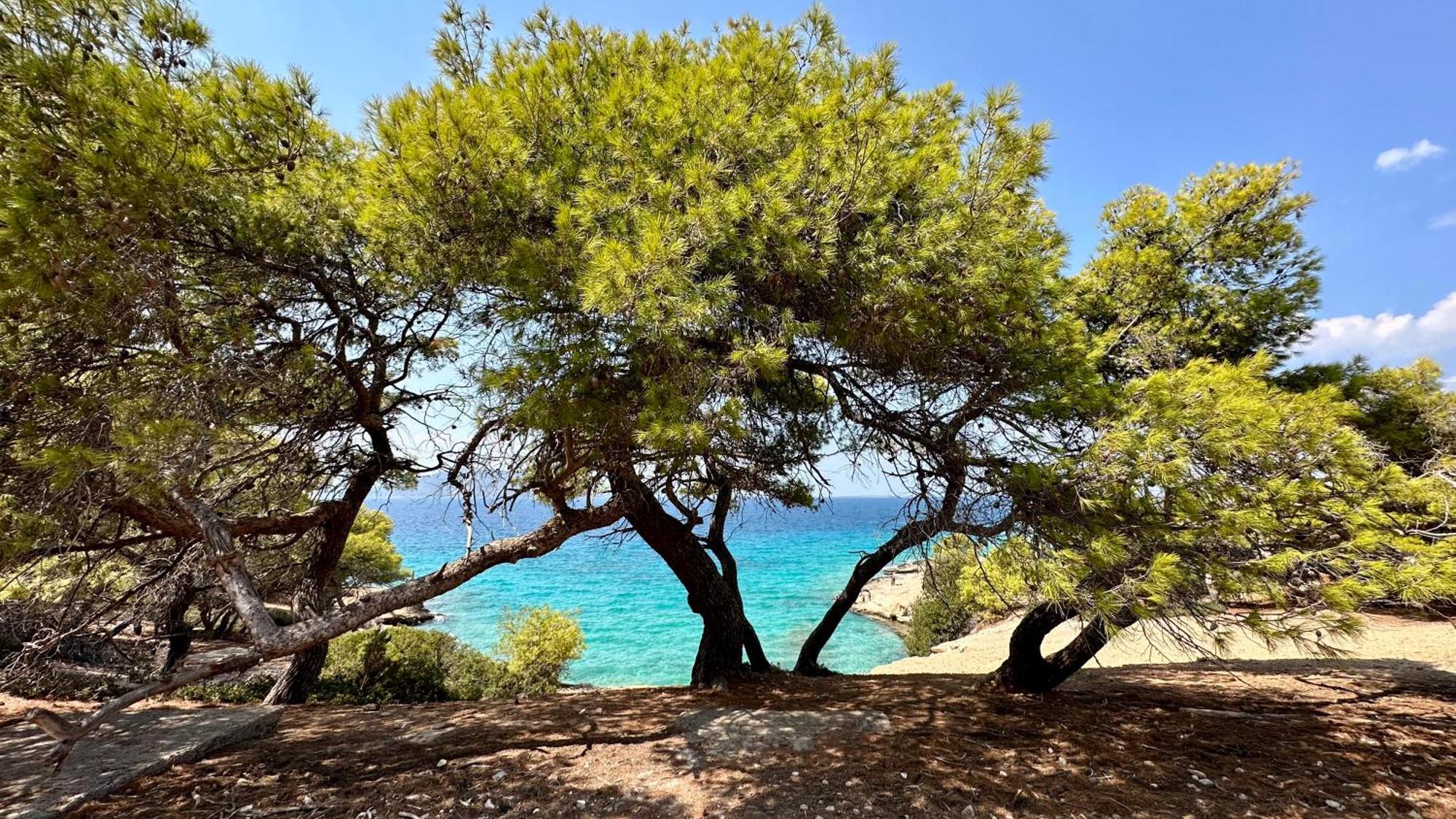 Appartement Vue Sur Mer Soul Family, Egine Aegina Exteriér fotografie