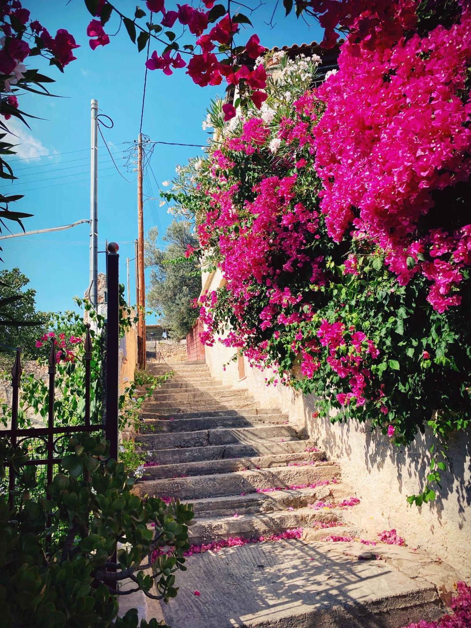 Appartement Vue Sur Mer Soul Family, Egine Aegina Exteriér fotografie